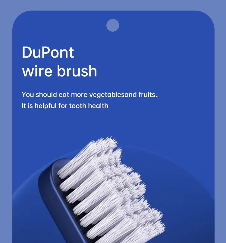 Adult Electric Toothbrush