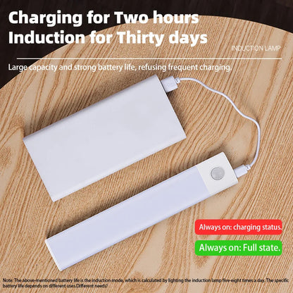 Motion Sensor LED Light